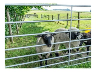 Ferienwohnung Poppenbüll Außenaufnahme 8