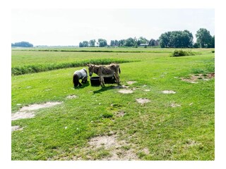 Ferienwohnung Poppenbüll Umgebung 26