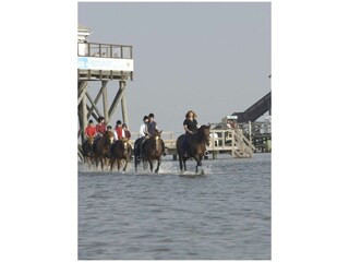 Sport / Aktivitäten