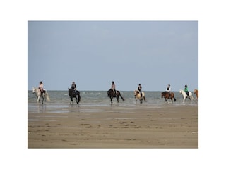 Sport / Aktivitäten