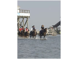 Sport / Aktivitäten