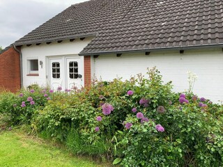 Hauptansicht