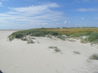 Ferienwohnung Garding Außenaufnahme 2
