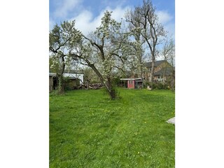 Ferienwohnung Oldenswort Außenaufnahme 6