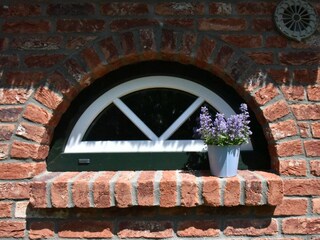 Ferienhaus Tönning Außenaufnahme 9