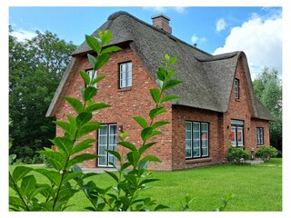 Ferienhaus Tönning Außenaufnahme 11