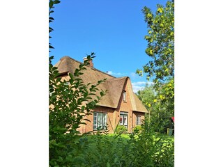 Ferienhaus Tönning Außenaufnahme 16