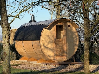 Ferienhaus Welt in Eiderstedt Außenaufnahme 8