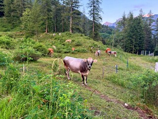 IMG_9601