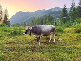 IMG_9631