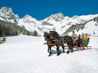 Pferdeschlitten