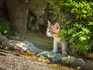 20170622_UntersuessgutAussen_022