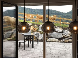 Neugierige Zaunga?ste