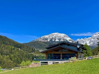 Schmuckstu?ck im Fru?hling