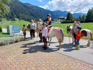 für Pferdeliebhaber