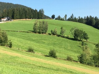 Haus_Sommer 2020_kl