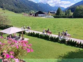 Blick vom Balkon