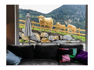Panorama_WZ Fernsehersatz