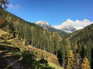 Herbstspaziergang