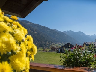 Ausblick auf die Berge (Tauern)