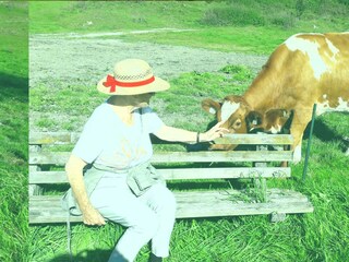 Wanderweg zum Restaurant