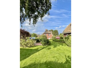 Blick in den Garten und auf die Terrasse (links))