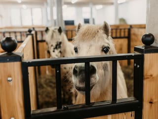 15-12-2021_SelinaFlaschPhotography-63