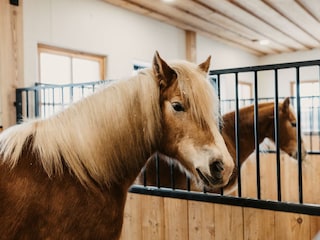 15-12-2021_SelinaFlaschPhotography-60