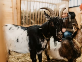 15-12-2021_SelinaFlaschPhotography-38