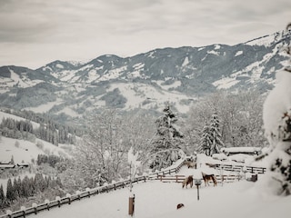 Gut_Berg©Elisabeth_Fotografie-95