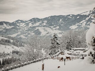 Gut_Berg©Elisabeth_Fotografie-95