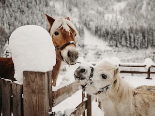 Gut_Berg©Elisabeth_Fotografie-67