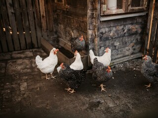 24-11-20_SelinaFlaschPhotography-130