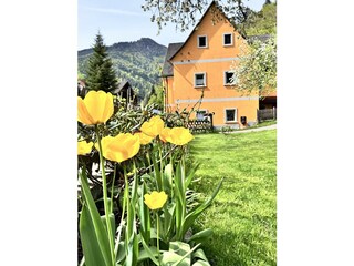 Ferienwohnung Mixnitz Bärenschützklamm_Außenanisch