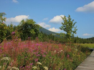 Teichalmsee_Moorlehrpfad