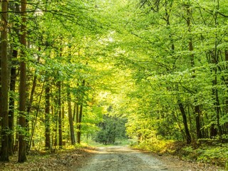 Naturlandschaft Bad Waltersdorf