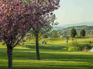 Golfplatz Bad Waltersdorf