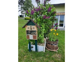 Insektenhotel