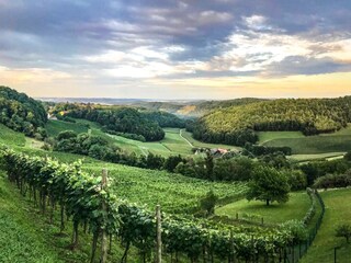 B9B6C36A-71FD-4113-80AC-722C3E7B8701