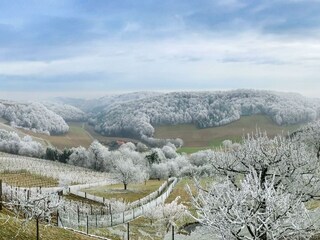 IMG_9578 - Kopie-min