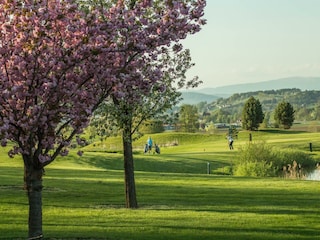 Golfplatz Bad Waltersdorf
