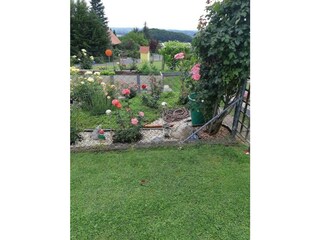 Blütenpracht im Garten