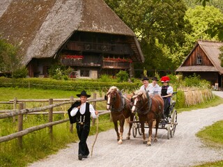 Vogtsbauernhöfe Gutach