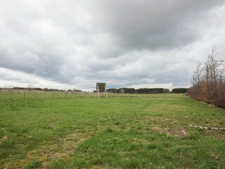 Maison de vacances Schleiden Environnement 33