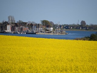 Frühjahr in Maasholm