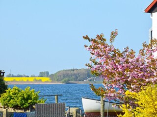 Frühling in Maasholm