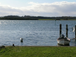 Liegewiese vor der Wohnung