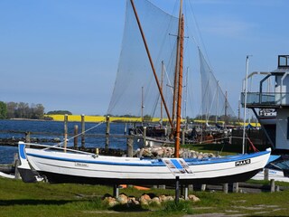 Frühlingsidylle vor dem Haus