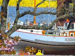 Frühling  an der Werft