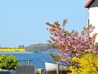 Frühling an der Schlei